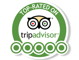 Trip Advisor Reviews